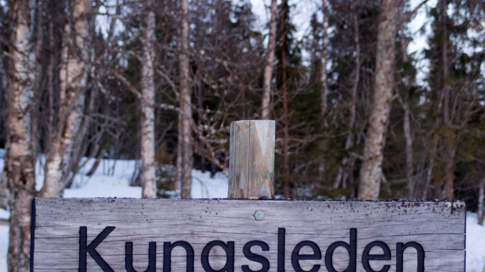 Kungsleden Wegweiser